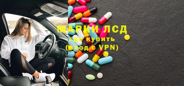 прущий лед Богданович