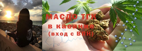 прущий лед Богданович
